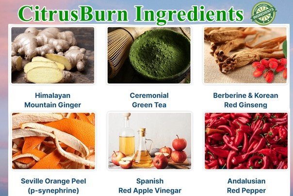 Citrusburn Ingredients